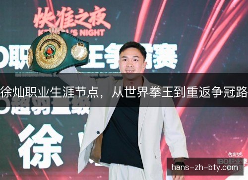 徐灿职业生涯节点，从世界拳王到重返争冠路